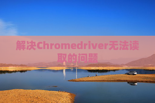 解决Chromedriver无法读取的问题
