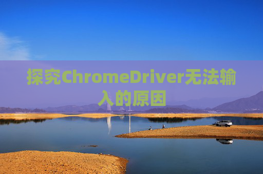 探究ChromeDriver无法输入的原因