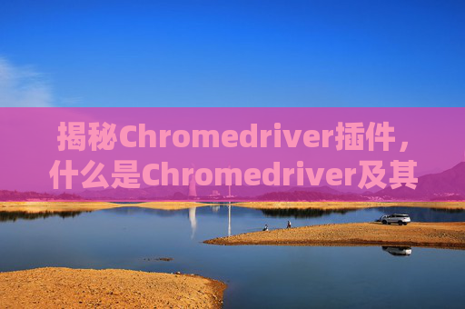 揭秘Chromedriver插件，什么是Chromedriver及其作用